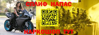 индика Кимры