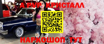 хмурый Кингисепп