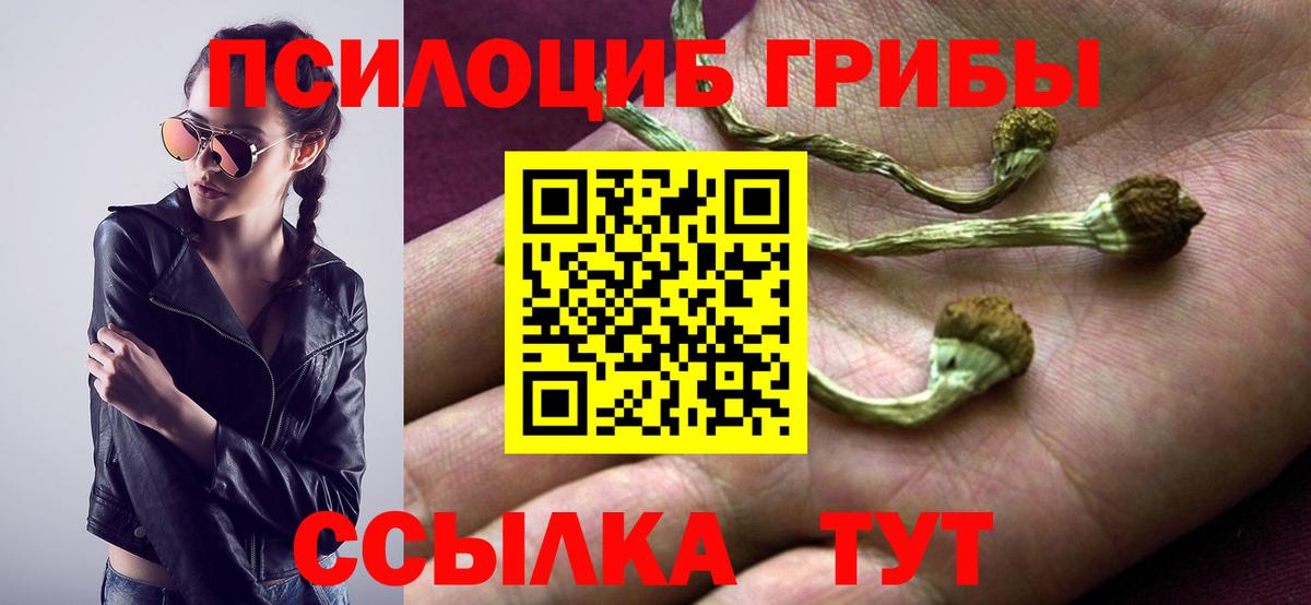 Волгоград  Псилоцибиновые грибы прущие грибы  Вход с VPN 