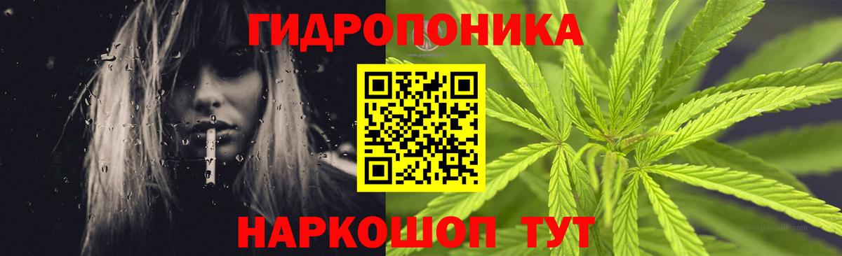 Волгоград  Бошки Шишки планчик  Вход с VPN  Бошки марихуана марихуана  Марихуана ГИДРОПОН 